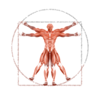 Dr. Muscle