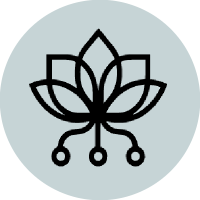 Pollinations